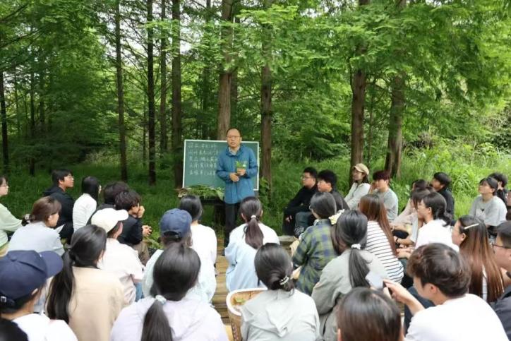 在中开云app官方在线入口最新版下载